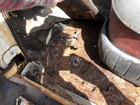 1954 Buick Special for sale in Midlothian, Texas (ID-111485)