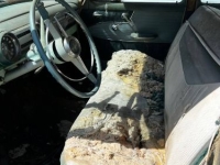 1954 Chevrolet Sedan for sale in Michigan (ID-146602)