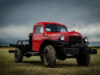 1954 Dodge Power Wagon for sale