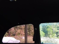 1954 Ford Customline for sale in Michigan (ID-163673)