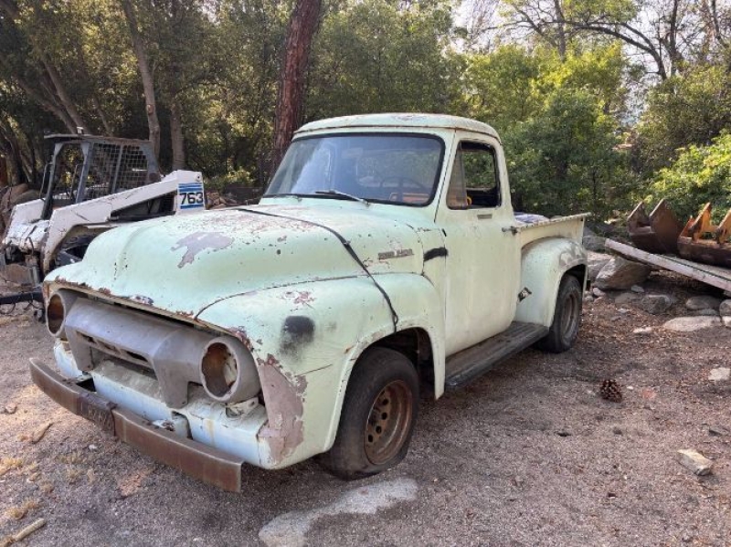1954 Ford F100 for sale in Michigan (ID-161393)