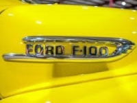 1954 Ford F100 for sale in Michigan (ID-163488)