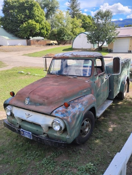 1954 Ford F350 for sale (ID-135026)