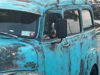 1954 GMC Suburban for sale in St James, New York (ID-144015)