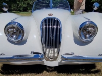 1954 Jaguar XK120SE for sale in Michigan (ID-125350)