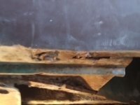 1954 Nash Metropolitan for sale (ID-128246)