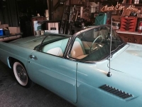 1955 Ford Thunderbird for sale in Michigan (ID-22861)