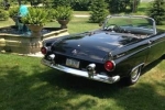 1955 Ford Thunderbird for sale in Pennsylvania (ID-43941)
