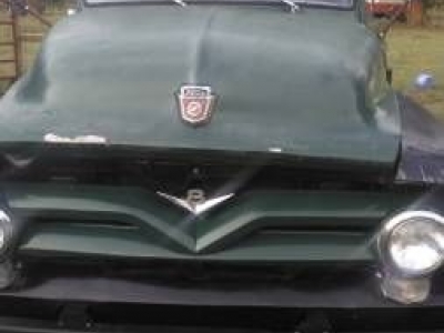 1955 Ford F500 for sale