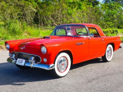 1955 Ford Thunderbird for sale