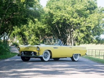 1955 Ford Thunderbird for sale in Colorado