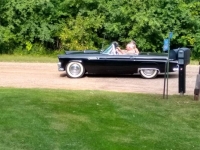 1955 Ford Thunderbird for sale in Michigan (ID-89215)