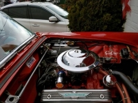 1955 Ford Thunderbird for sale in Michigan (ID-91766)