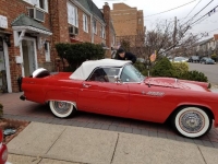1955 Ford Thunderbird for sale in Michigan (ID-91766)