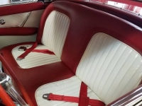 1955 Ford Thunderbird for sale in Michigan (ID-91766)