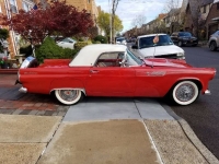 1955 Ford Thunderbird for sale in Michigan (ID-91766)