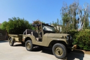 1955 Jeep CJ for sale