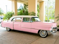 1955 Cadillac Limousine for sale in Michigan (ID-112217)