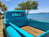 1955 Chevrolet 3100 for sale in Michigan (ID-129913)