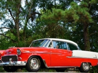 1955 Chevrolet Bel Air for sale in Michigan (ID-161811)