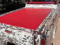 1955 Chevrolet Cameo for sale in Michigan (ID-146408)