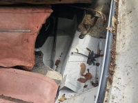 1955 Chrysler Imperial for sale in Michigan (ID-132544)