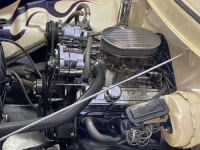 1955 Ford F100 for sale in Michigan (ID-105580)