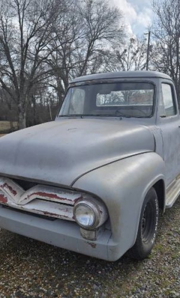 1955 Ford F100 for sale in Michigan (ID-138551)