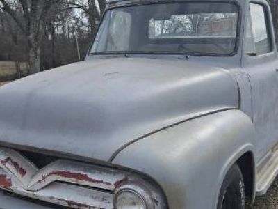 1955 Ford F100 for sale