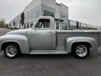 1955 Ford F100 for sale in Michigan (ID-139483)