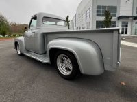 1955 Ford F100 for sale in Michigan (ID-139483)