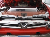 1955 Ford F100 for sale in Michigan (ID-144701)