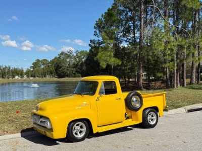 1955 Ford F100 for sale