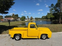 1955 Ford F100 for sale in Michigan (ID-146229)