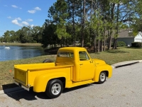 1955 Ford F100 for sale in Michigan (ID-146229)