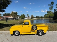 1955 Ford F100 for sale in Michigan (ID-146229)