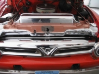 1955 Ford F100 for sale in Michigan (ID-162073)