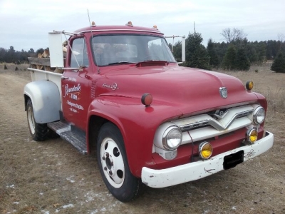 1955 Ford F600 for sale