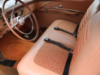 1955 Ford Fairlane for sale (ID-100545)