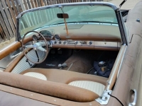 1955 Ford Thunderbird for sale in Michigan (ID-103450)