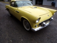 1955 Ford Thunderbird for sale in Michigan (ID-103493)
