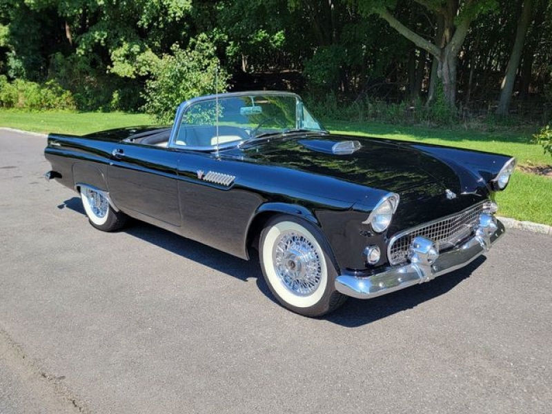 1955 Ford Thunderbird for sale in Riverhead, New York (ID-106737)