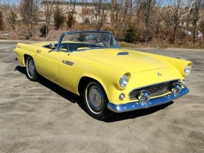 1955 Ford Thunderbird for sale