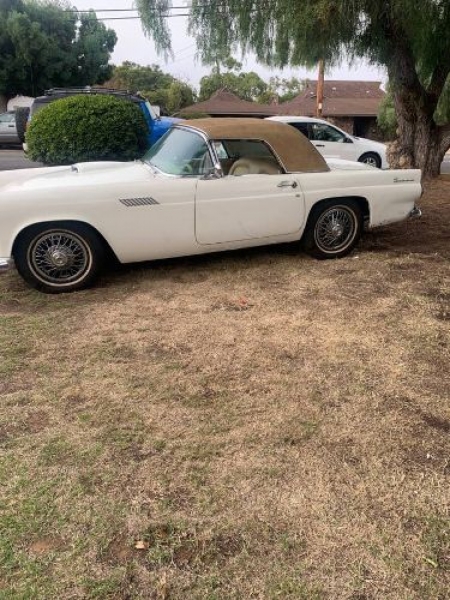1955 Ford Thunderbird for sale in Michigan (ID-123941)