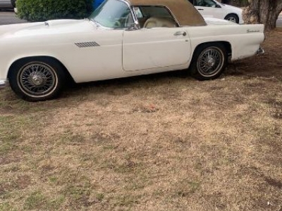 1955 Ford Thunderbird for sale