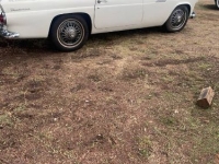 1955 Ford Thunderbird for sale in Michigan (ID-123941)