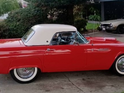 1955 Ford Thunderbird for sale