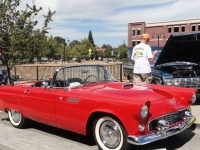 1955 Ford Thunderbird for sale in Michigan (ID-124320)