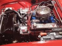 1955 Ford Thunderbird for sale in Michigan (ID-124320)