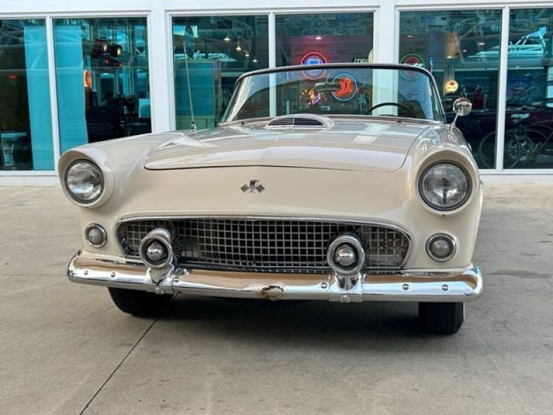 1955 Ford Thunderbird for sale in Riverhead, New York (ID-124640)